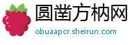 圆凿方枘网